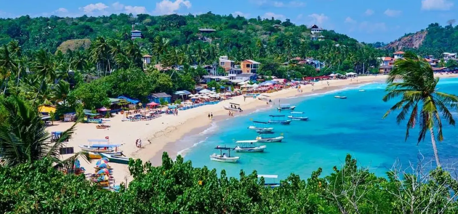 Stunning view of Unawatuna Beach, featuring golden sands and turquoise waters under a clear blue sky, displayed on the Aganthuka Galle website. This image suggests beach adventures as one of the enticing activities available to guests, emphasizing the natural beauty and relaxing atmosphere of the seaside destination.